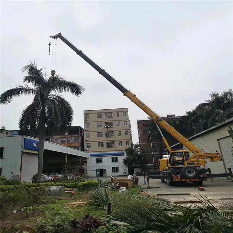 王下乡汽车吊出租多少钱？全面解析与市场行情